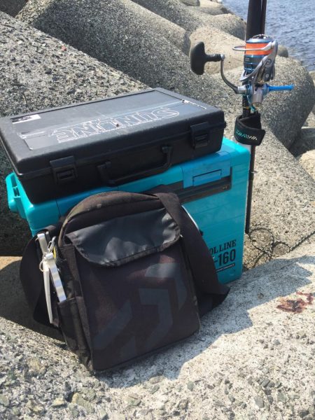 ２週間ぶりのツバス