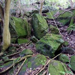 おじさん二人で