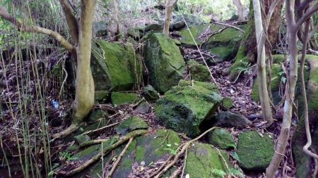 おじさん二人で