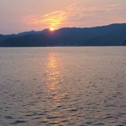 魚種たくさん。