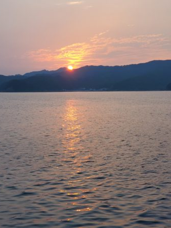 魚種たくさん。