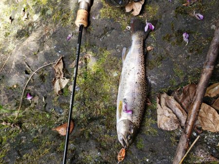 泣き尺( ノД`)…