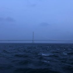 大シケでの3匹は格別。