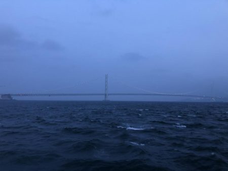 大シケでの3匹は格別。