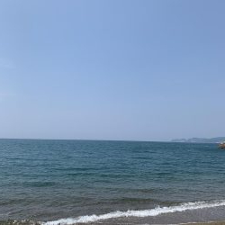 天ぷらが食べたくて