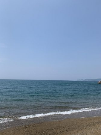 天ぷらが食べたくて