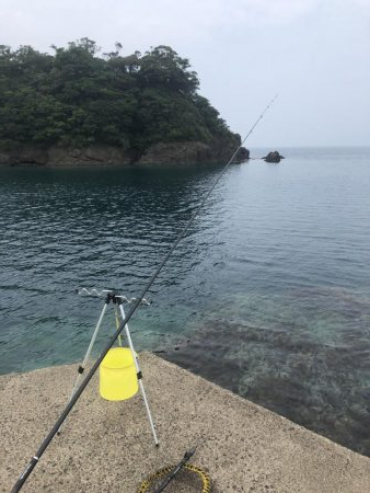 マゴチ、ツバス、アコウ