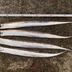 げき渋の中なんとか一本