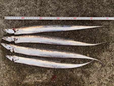 げき渋の中なんとか一本