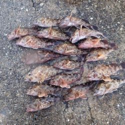 武庫一でライトワインド!