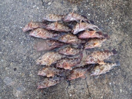 武庫一でライトワインド!