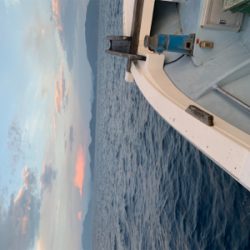 夕方SLJ ＆オキアミエサ釣り