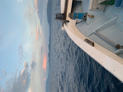 夕方SLJ ＆オキアミエサ釣り