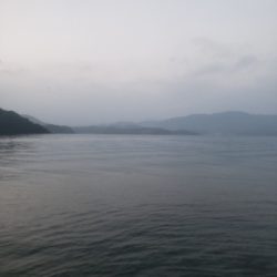 何とかキャッチ出来ました