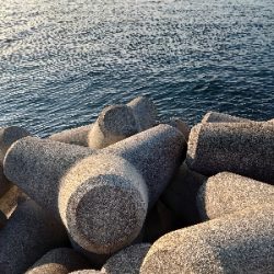 メタルジグでサワラ！