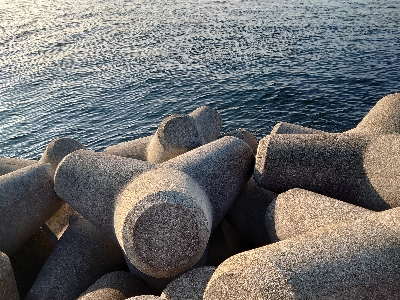 メタルジグでサワラ！