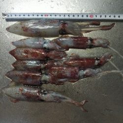 つ抜けに一歩及ばず