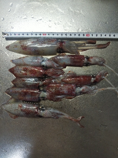 つ抜けに一歩及ばず