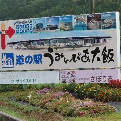 加斗の海岸で半夜のエビまき釣り