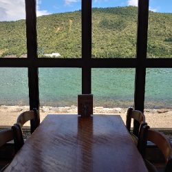 エビ撒きでアコウ