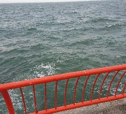 超強南風のロックフィッシュ