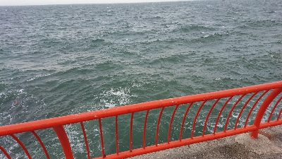 超強南風のロックフィッシュ