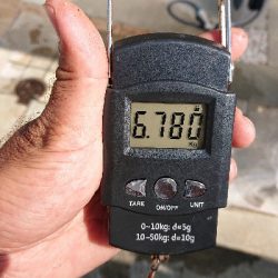 これが釣りたかった！