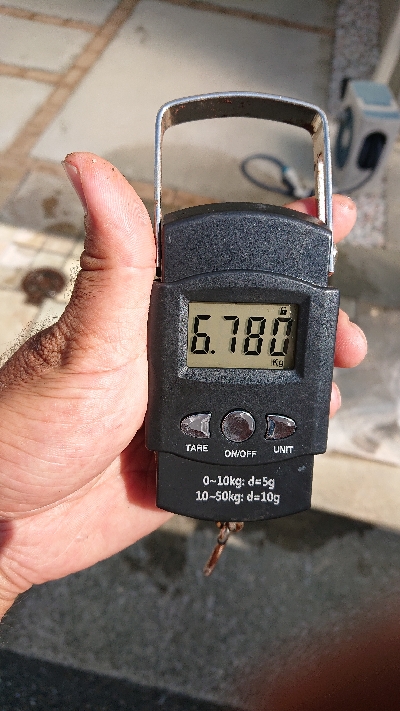 これが釣りたかった！