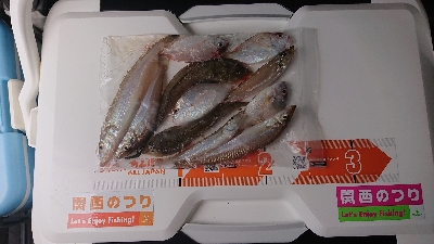 キス釣り、五目釣り