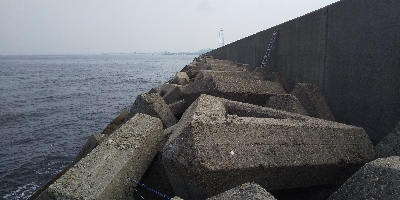 結構釣れました