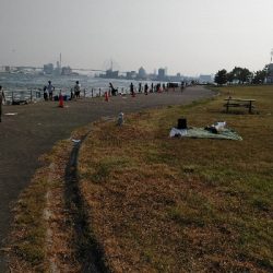 早朝コスモスクエア