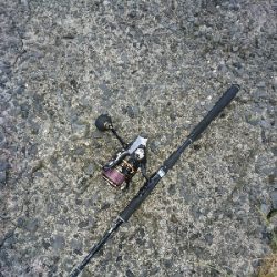 良型シーバス&チヌ爆発!!