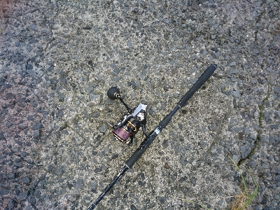 良型シーバス&チヌ爆発！！