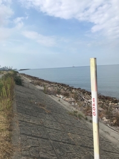 シーバス(チーバスのみ)ボイル！