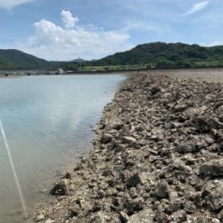 なんとかギリ歳無し