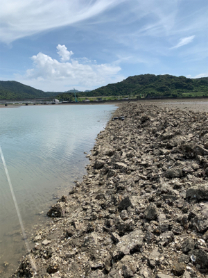 なんとかギリ歳無し