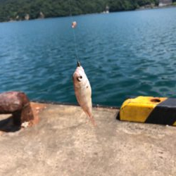 ちょい投げキス