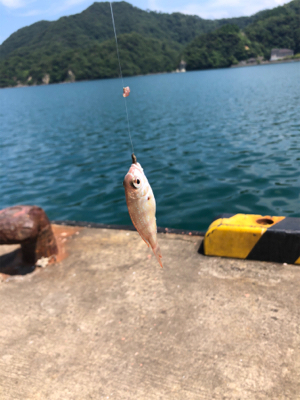 ちょい投げキス