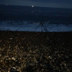 巨大キスを求めて尾鷲へ‼️