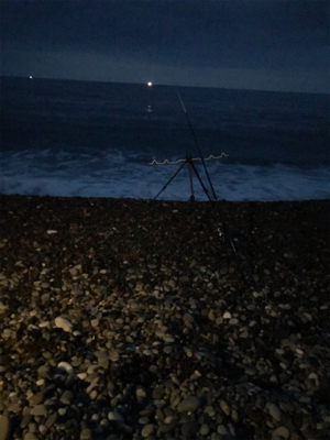 巨大キスを求めて尾鷲へ‼️