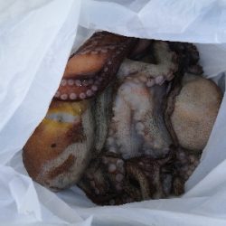 休日はタコより人が多い