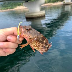 ガシリングになった