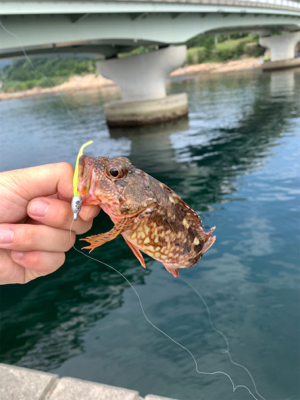 ガシリングになった