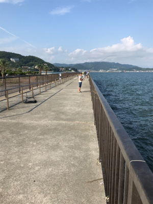 再びキスを求めて吉良へ‼️