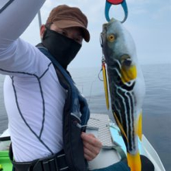 マイボート釣行、友人とアマダイ狙い!