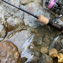 カワムツをスプーンで釣る