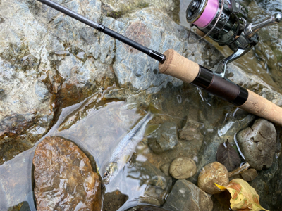 カワムツをスプーンで釣る