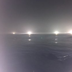 リベンジケンサキ