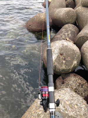 タコ調査12 終盤～