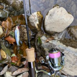 川魚 スプーン釣り